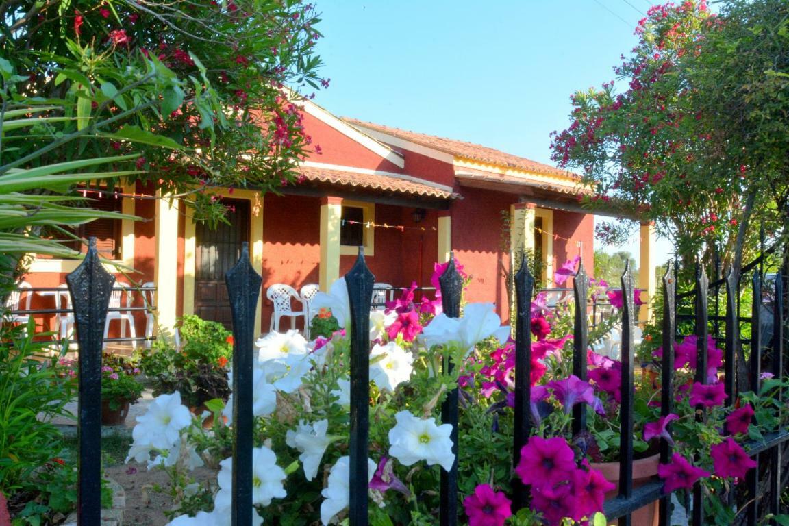 Issos Apartments Agios Georgios  Exterior foto